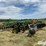 2013-john-deere-512-image-7
