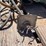 #2205-•-p-&-h-hoist-harnischfeger-image-19