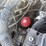toyota-8fgu25-image-37