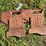 (2)-international-harvester-suitcase-weights-image-1