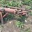 farmall-c-and-200-wide-front-end-image-6