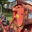 farmall-f-30-image-28