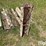 symons-3-image-10