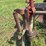mccormick-deering-412-four-bottom-14”-fast-hitch-mold-board-plow-image-21