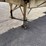 1985-great-dane-trailer-image-4