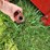case-ih-1063-image-10