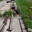 telephone-poles-image-2