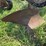 mccormick-deering-412-four-bottom-14”-fast-hitch-mold-board-plow-image-13