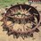 (2)-steel-wheels-image-2