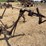 international-harvester-221-mounted-cultivator-image-14