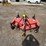 bush-hog-6-image-2