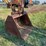 1980-caterpillar-215-image-2