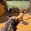 #2004-•-woods-batwing-rotary-mower-(offsite-in-el-paso)-image-20