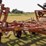 25'-krause-sweep-plow-5-'-blades,-no-welds-image-4