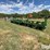 john-deere-7300-image-1