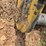 2023-caterpillar-374-image-105