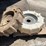 mach-2-solid-irrigation-pivot-wheels-image-10