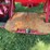 1938-farmall-f-14-(9th-f-14-built)-image-33
