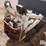 bobcat-m371-image-5