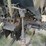1998-case-ih-4210-image-73