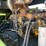 #2003-•-steiger-tractor-st300-(offsite-in-el-paso)-image-31