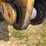2023-caterpillar-374-image-139