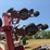 case-ih-955-image-12