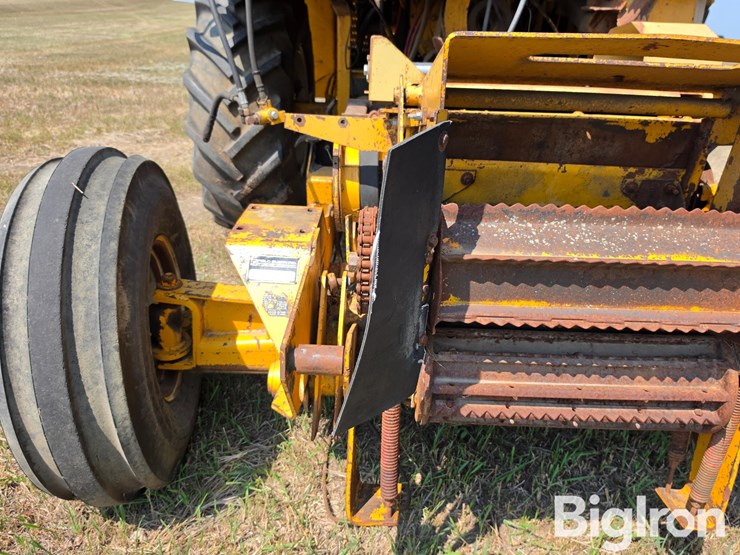 field-queen-7600-image-17