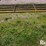 14'-livestock-gate-image-6