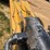 2023-caterpillar-374-image-150