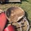 farmall-parts-image-3