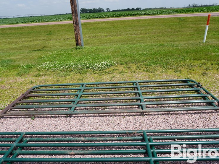 12'-livestock-gates-image-2