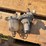 (2)-carburetors-and-fuel-pump-image-6