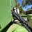 #2003-•-steiger-tractor-st300-(offsite-in-el-paso)-image-21