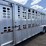 1995-wilson-livestock-trailer-image-9