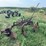 international-harvester-two-bottom-pull-type-moldboard-plow-image-3