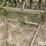 john-deere-ll-image-10