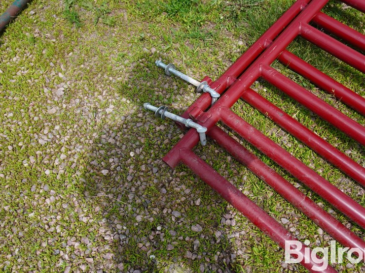 countyline-10'-gates-image-11