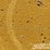 2019-caterpillar-336-image-37