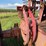farmall-m-image-22