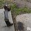 jeffers-i300-cat.-3-quick-hitch-image-4