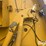 vermeer-605-image-17