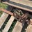 farmall-cub-flail-mower-image-4