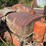 international-650-image-16