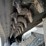 2022-bobcat-t66-image-53