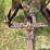john-deere-b-image-12
