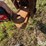 bush-hog-1550-image-9