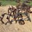 international-harvester-461-fast-hitch-cultivator-image-13