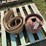 international-harvester-steel-belt-pulley-and-endless-belt-image-1