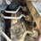 2023-bobcat-t76-image-12